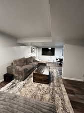 Basement living area