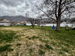 Fully fenced yard featuring a mountain view