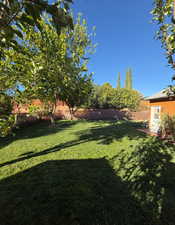 View of fenced backyard
