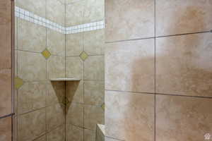Bathroom view of a tile shower