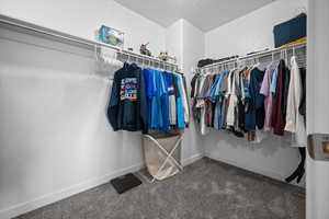 Walk in closet with carpet flooring