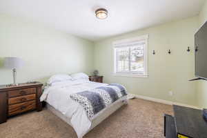 Bedroom with light carpet