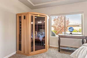 Relaxing sauna with carpet and baseboards