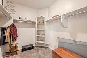 Walk in closet with light colored carpet
