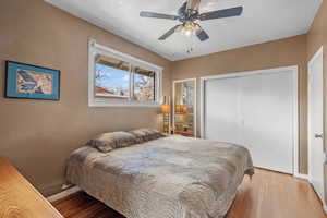 Bedroom with a ceiling fan, hardwood / wood-style floors, and a closet