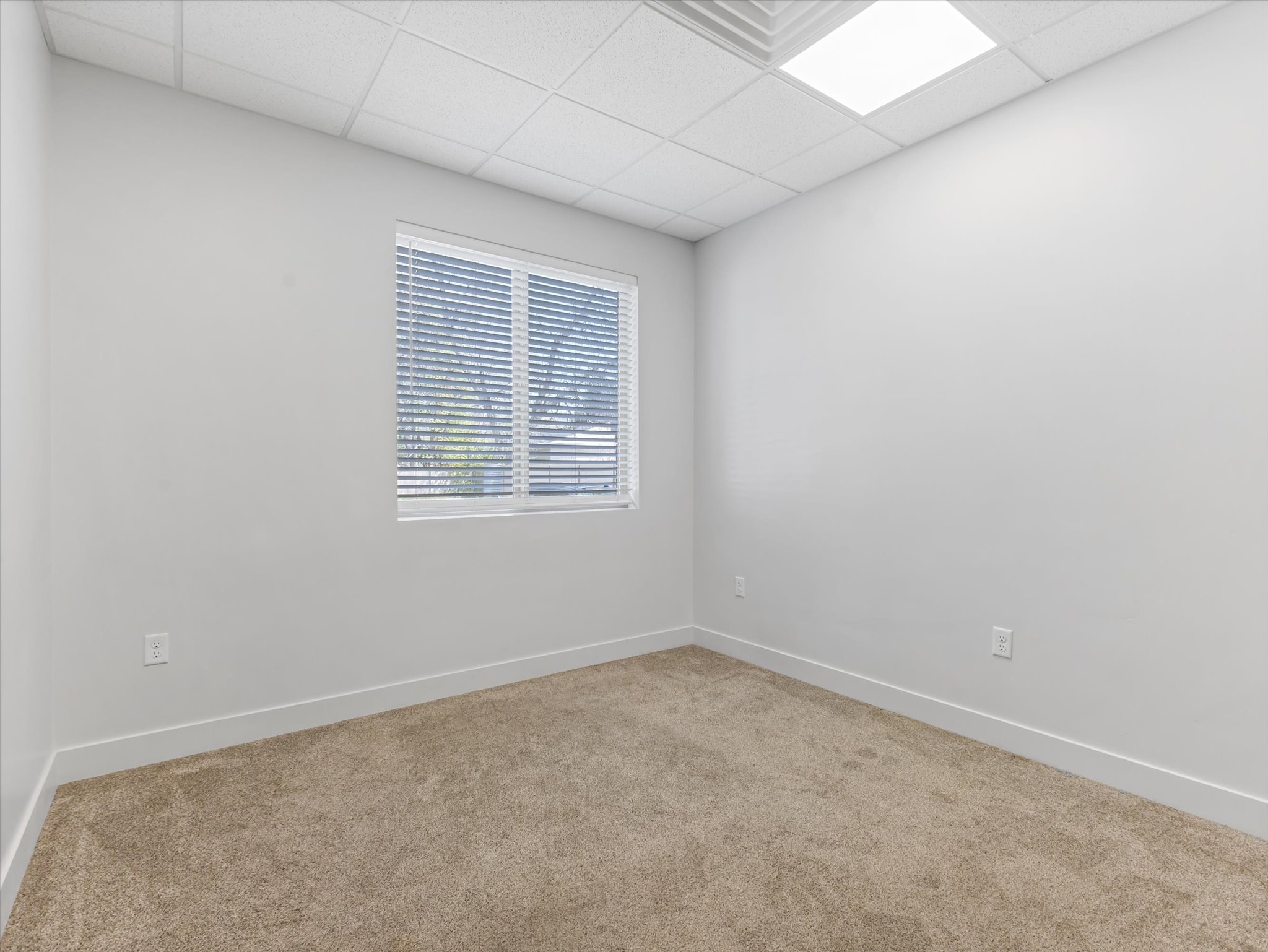 Carpeted interior space featuring a window with horizontal blinds, white walls, and a dropped ceiling with integrated lighting