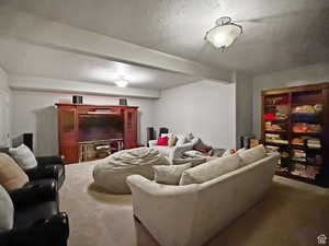 Basement theater room featuring a textured ceiling and beam ceiling