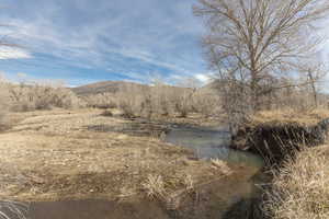 North Fork River in the North Corner of the backyard.