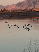 Water view featuring a mountainous background