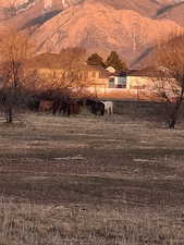 View of mountain background
