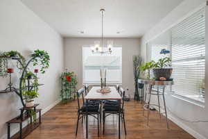 Dining area featuring hardwood / wood-style flooring, hanging lights, and a textured ceiling
