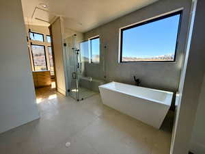 Full bathroom featuring a shower stall, plenty of natural light, and a freestanding bath
