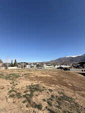 View of yard with a residential view