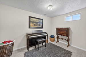 Sitting room with light colored carpet and a textured ceiling