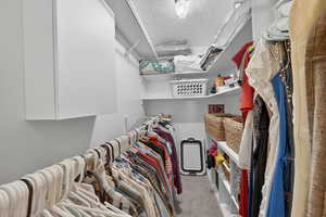 Walk in closet featuring carpet flooring
