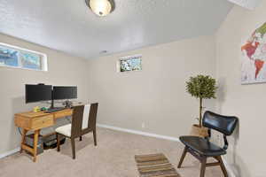 Home office with light colored carpet, a textured ceiling, and plenty of natural light