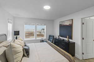 Bedroom with carpet flooring