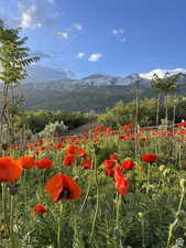 View of mountain background