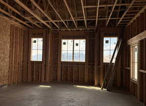 Views from the windows in the garage