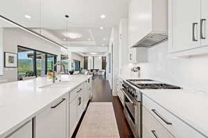 Kitchen with high end stainless steel range oven, white cabinets, a tray ceiling, dark wood-style floors, and light stone counters