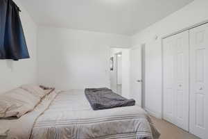 Bedroom featuring carpet flooring and a closet
