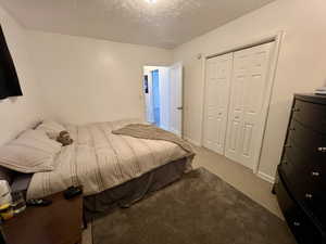 Unit 4365 Bedroom featuring medium carpet, a textured ceiling, window, and a closet