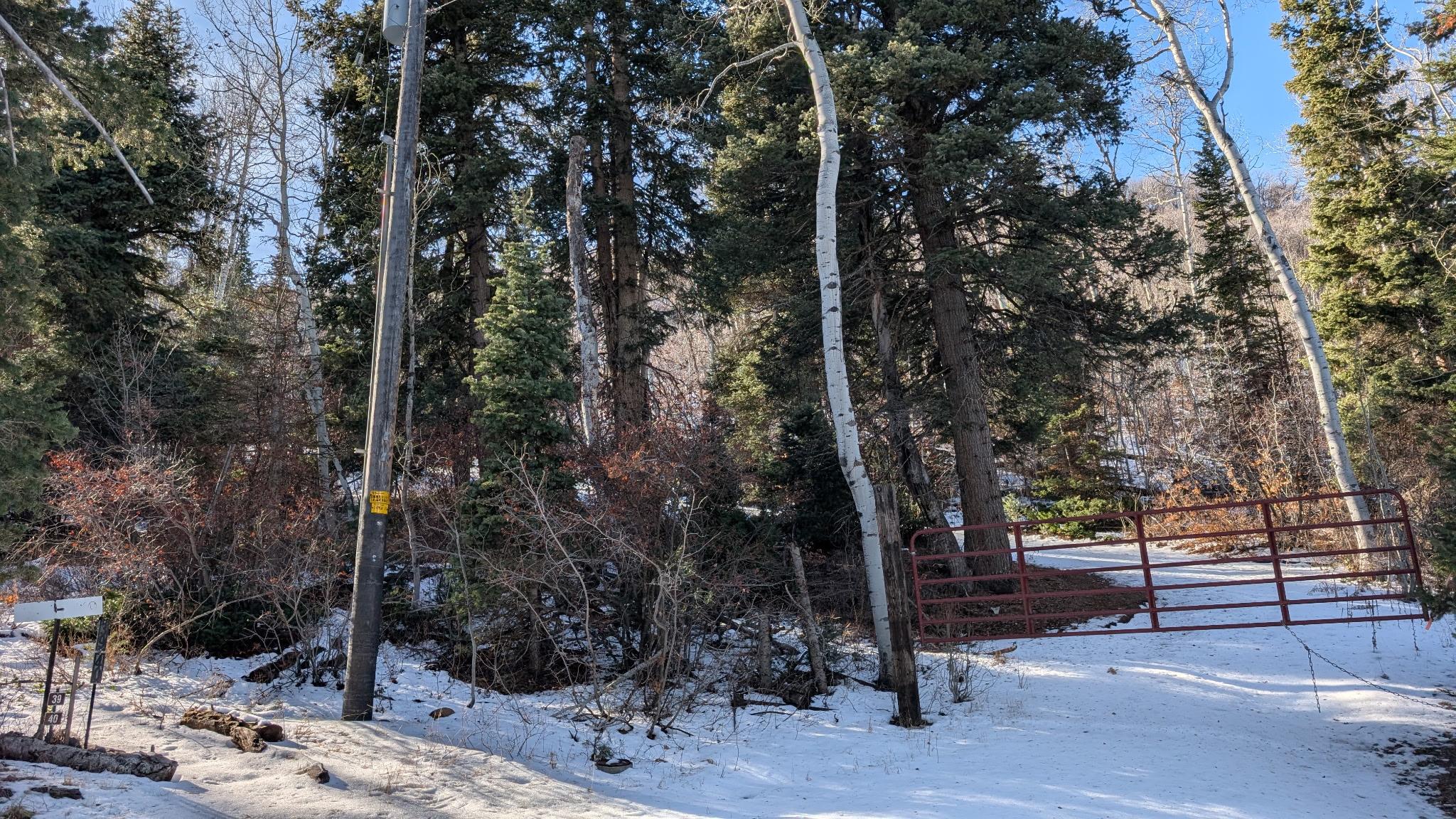 View of yard layered in snow