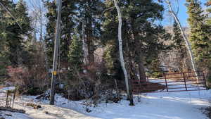 View of yard layered in snow
