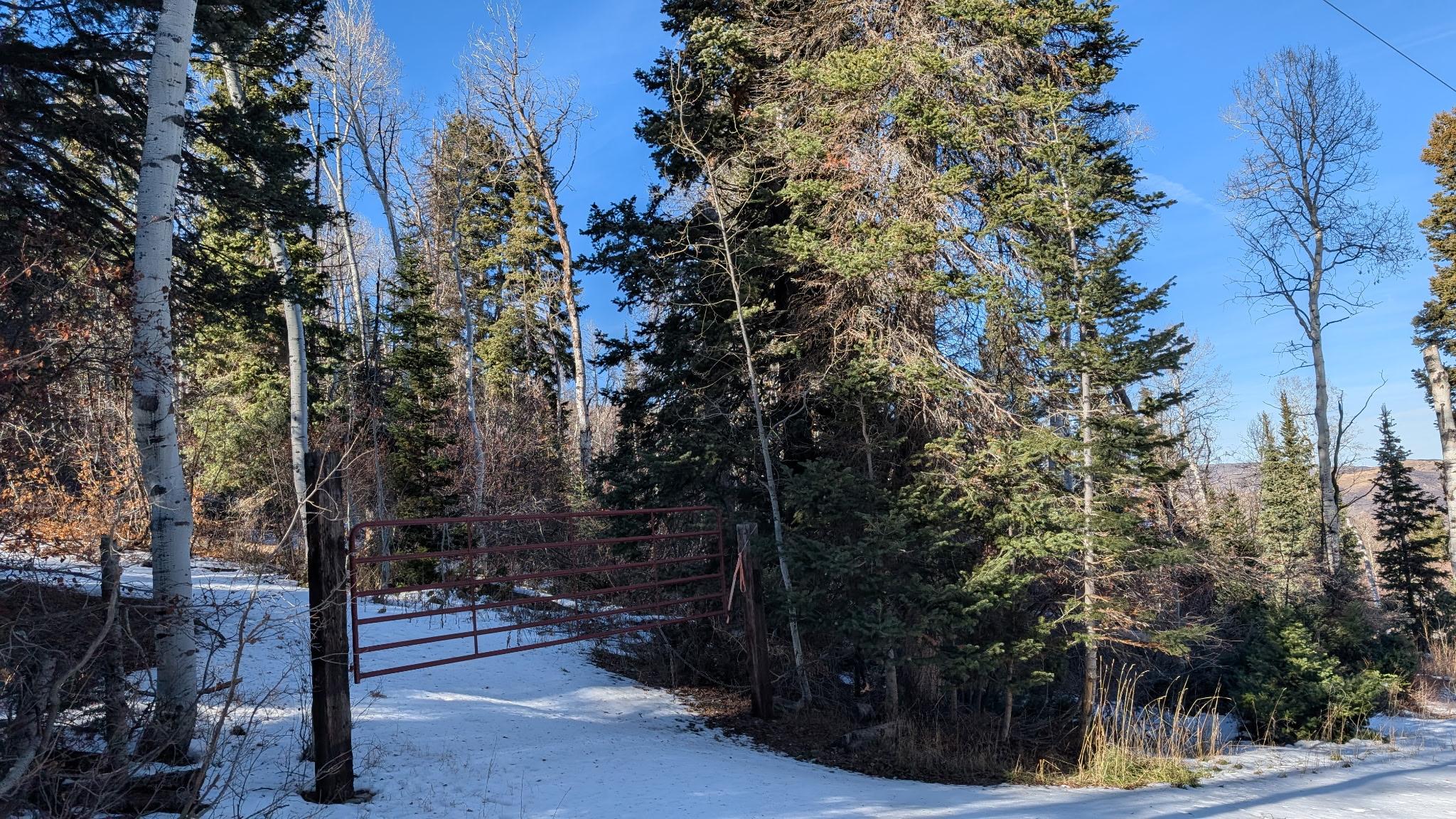 View of road featuring a gate