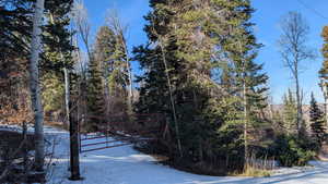 View of road featuring a gate