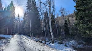 View of street featuring a view of trees