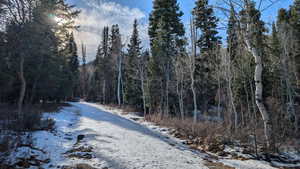 View of asphalt street featuring a forest view