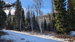 View of asphalt street