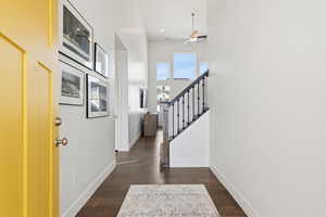 Foyer featuring dark wood-style flooring, ceiling fan, and a high ceiling