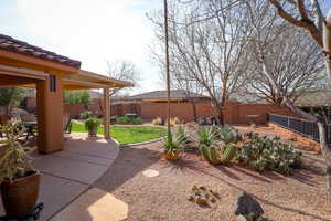 backyard cactus garden