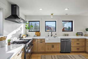 Kitchen with stainless steel appliances, healthy amount of natural light, light wood-style flooring, recessed lighting, and wood finish cabinetry