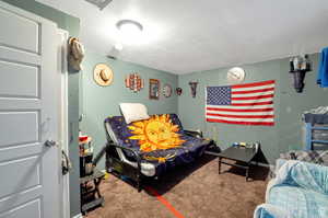 Whole house has new paint ( color white ) and new carpet