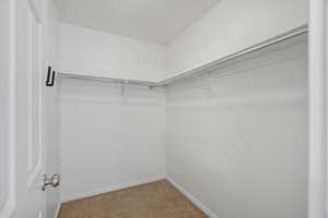 Walk in closet featuring carpet flooring