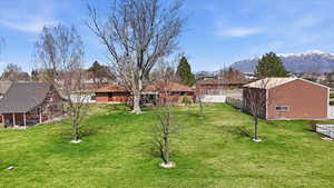 View of yard with a residential view and a mountain view