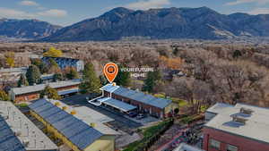 Bird's eye view of mountains