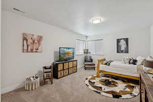 Bedroom with carpet floors and baseboards