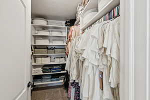 Walk in closet with dark colored carpet