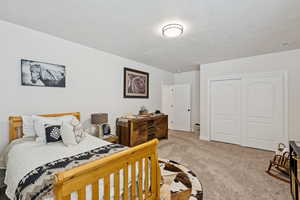 Bedroom with a closet and light carpet