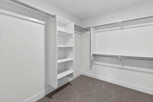 Walk in closet with dark colored carpet
