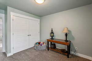 Foyer featuring carpet floors and a textured ceiling