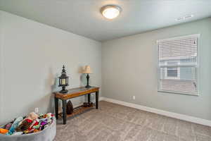Office area featuring light colored carpet and a textured ceiling