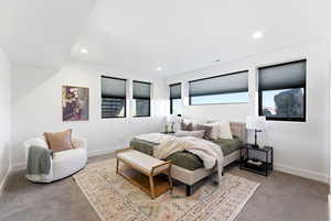 Carpeted bedroom with baseboards and recessed lighting