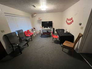 Living area featuring carpet floors and a textured ceiling