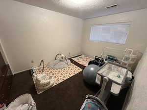 Interior space featuring a textured ceiling and carpet
