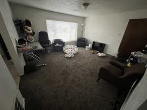 Living area featuring carpet floors, a textured ceiling, and a textured wall